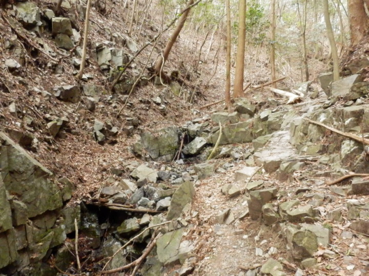 妙見山大堂越コース山道
