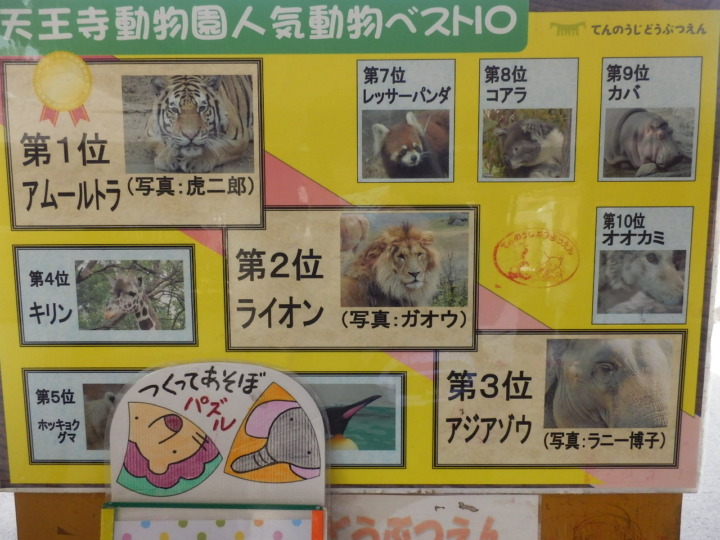 動物人気ランキング