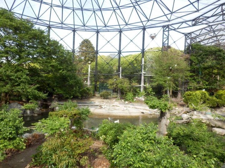 鳥の楽園内部