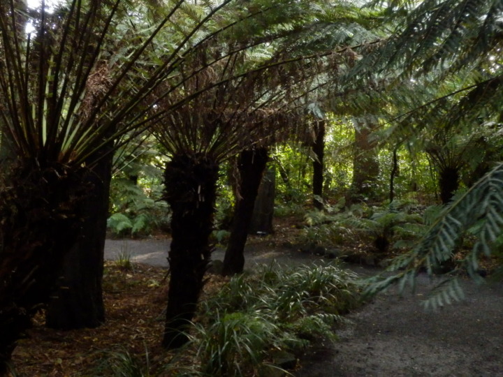 ニュージーランドガーデンその2