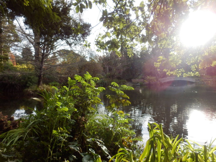 ニュージーランドガーデンその4