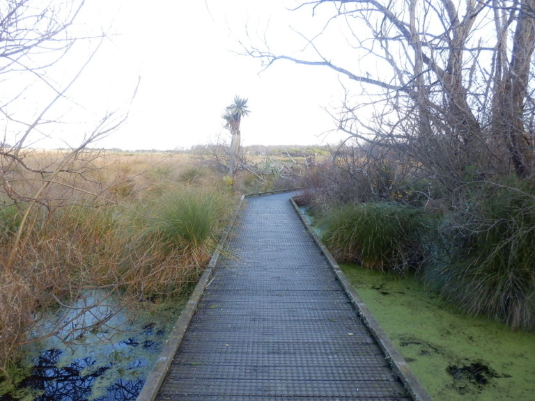 トラヴィス内部