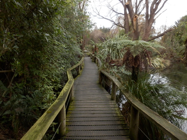 ウィローバンク-通路