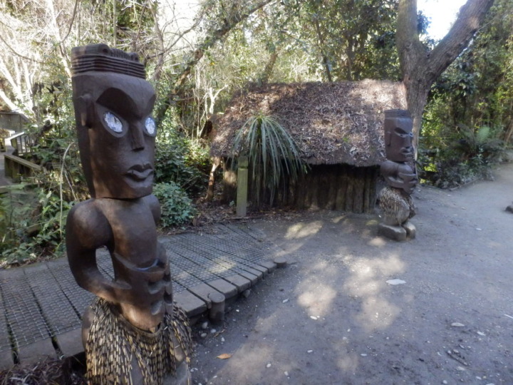 ウィローバンク-マオリ