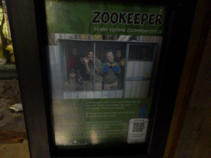 ウィローバンク-ズーキーパー