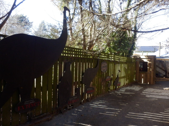 ウィローバンク-背比べ