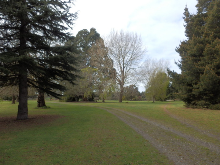 ボトルレイク入り口付近