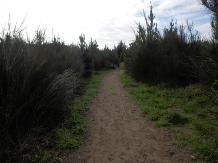 ボトルレイク-道