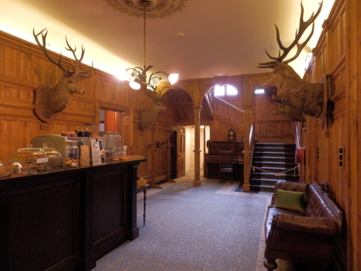 リッカートンブッシュテラス内