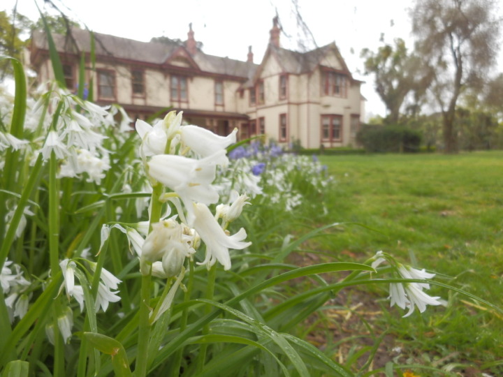 リッカートンブッシュテラス裏