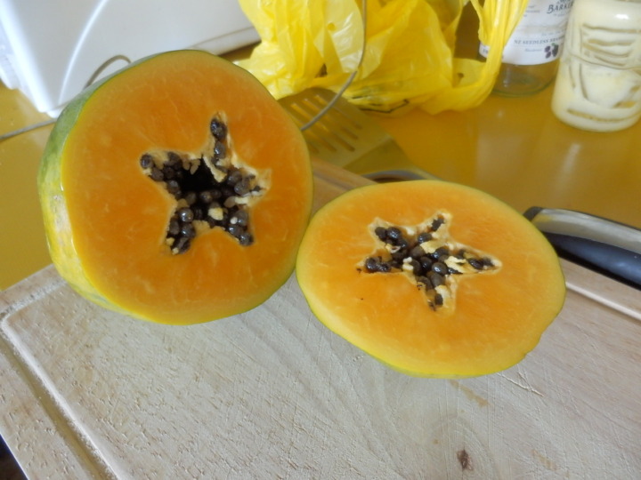 ポーポー?-パパイア