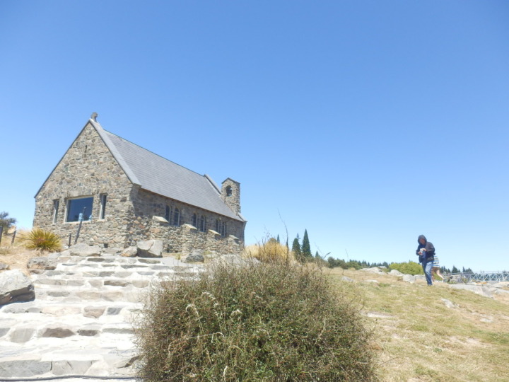 テカポ-良き羊飼いの教会-昼