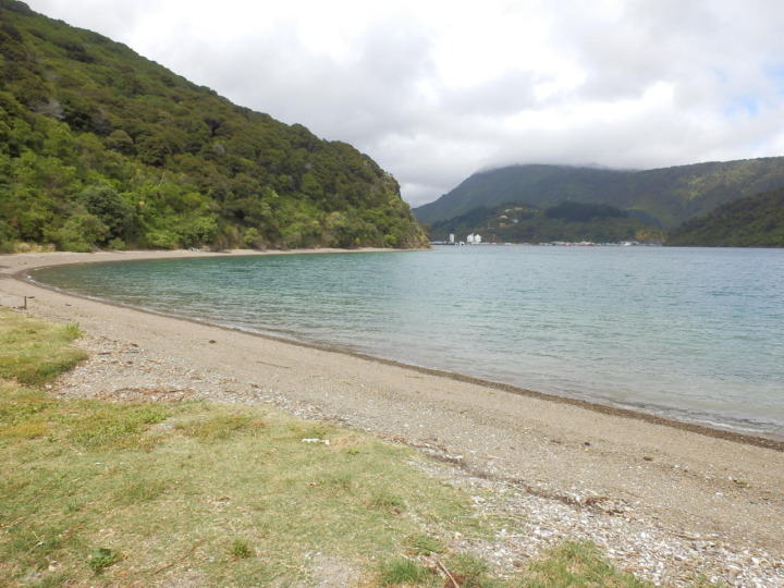ピクトン-ボブズベイ-ビーチ-浜辺