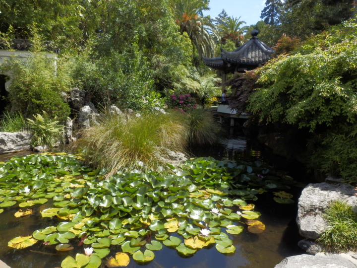 ヴィクトリアガーデン-アジア風