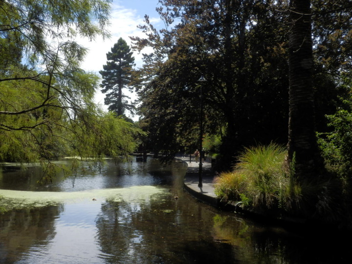 ヴィクトリア・ガーデン-池