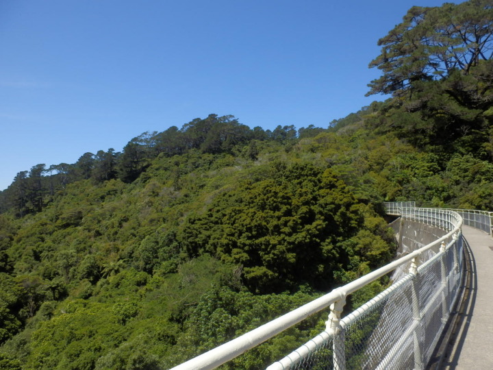 ジーランディア-ダム