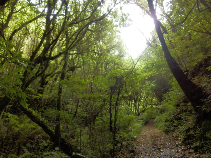 ジーランディア-園内