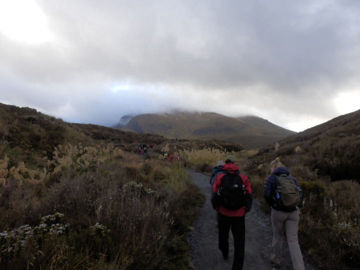 トンガリロ・アルパイン・クロッシング-入口