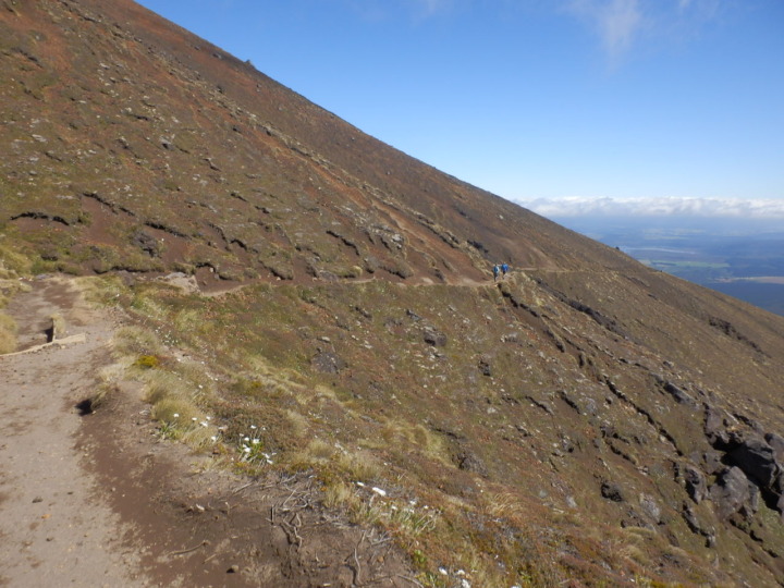 トンガリロ-下り-山道