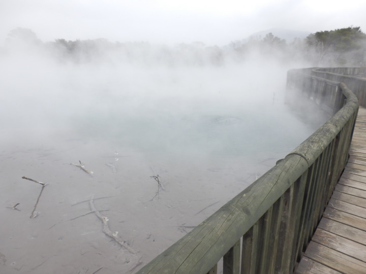 クイラウパーク-湯気