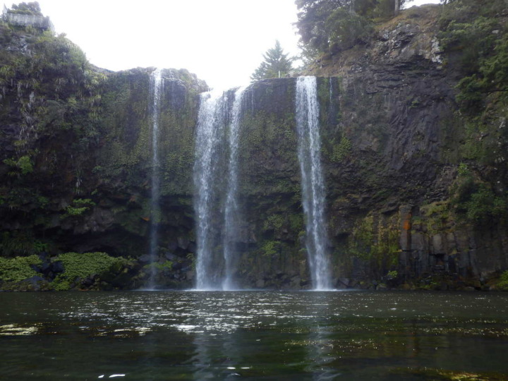 ファンガレイフォール